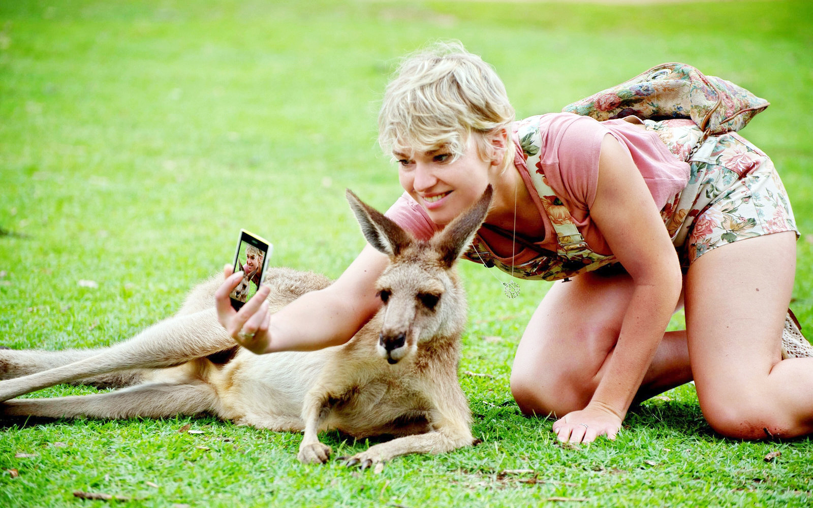 Selfie-Kangaroos