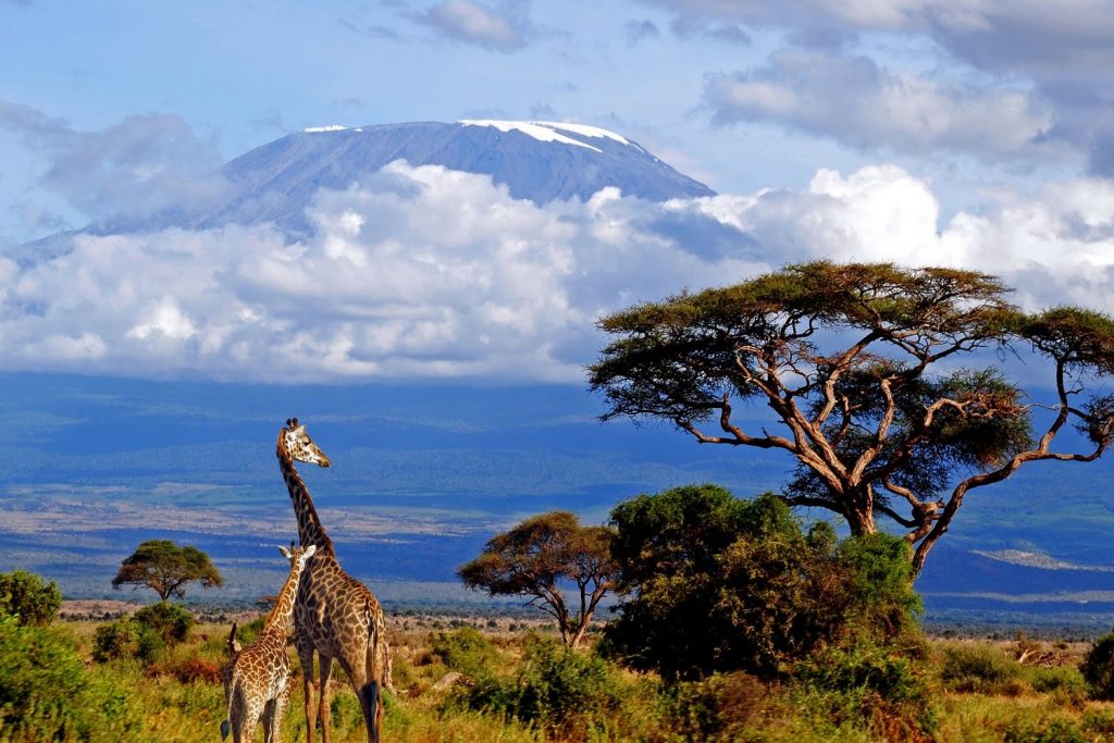 Mt-Kilimanjaro-Africa-Kesari Tours 