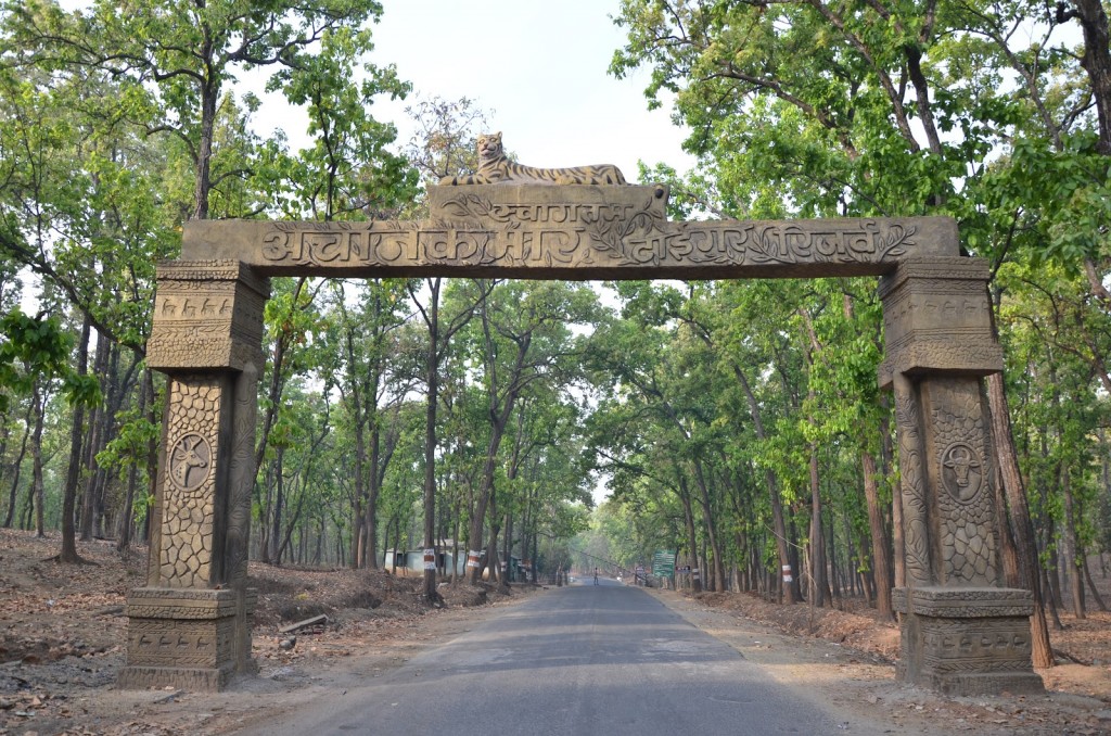 4. achanakmar-sanctuary-chhattisgarh