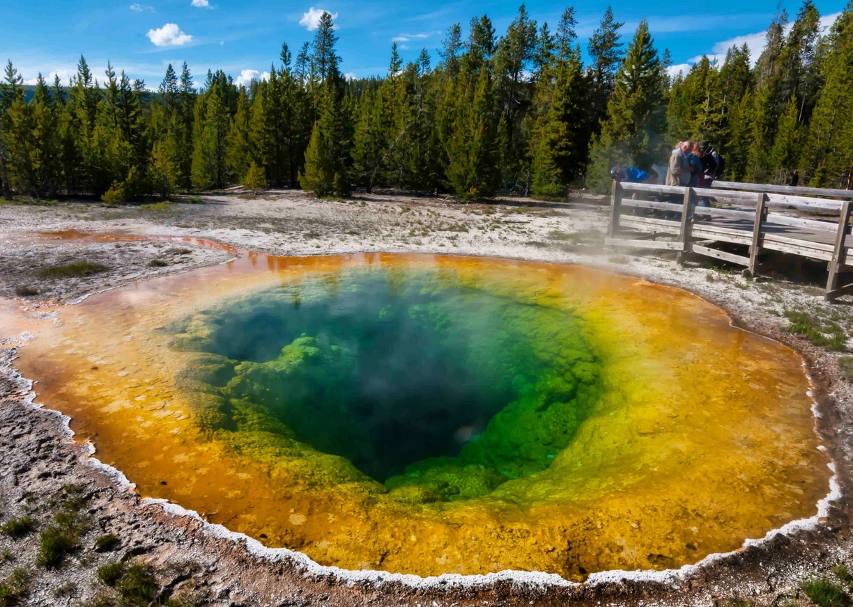 Explore the Wonders of Yellowstone National Park, USA ...
