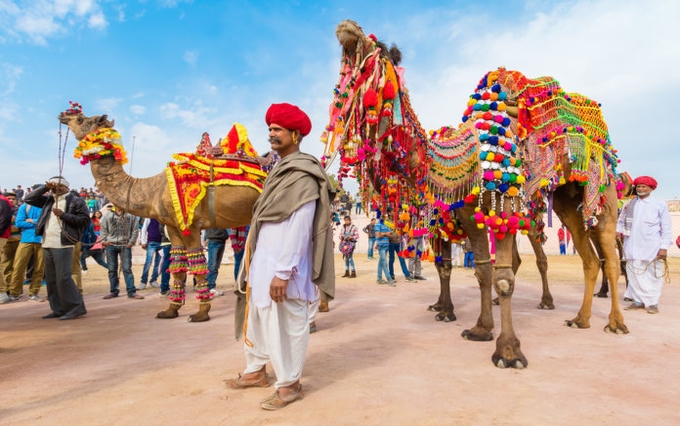 camel-decoration-kesari-tours